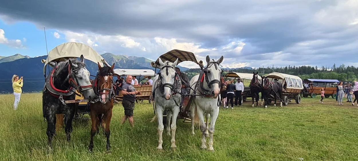 Atrakcje u Perełki w Zakopanem